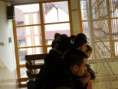 /album/fenykepgaleria/teli-kupa-kepekben-2013-14-015-jpg/
